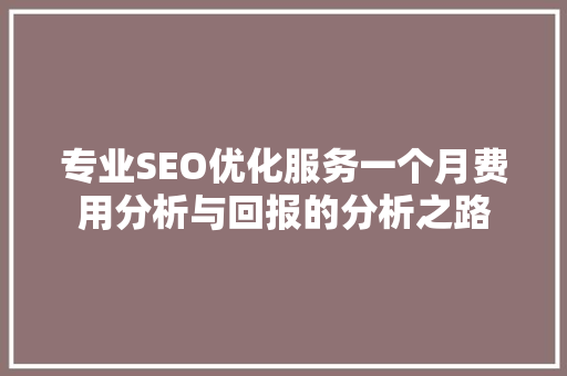 专业SEO优化服务一个月费用分析与回报的分析之路