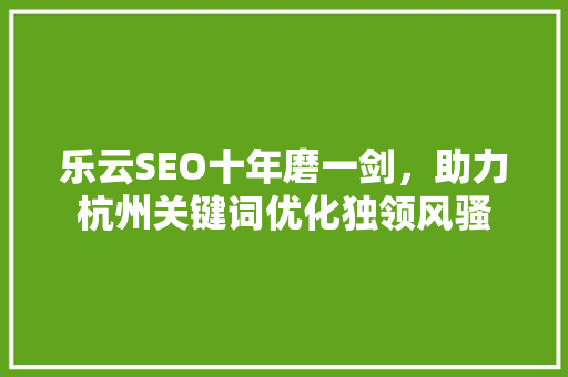 乐云SEO十年磨一剑，助力杭州关键词优化独领风骚