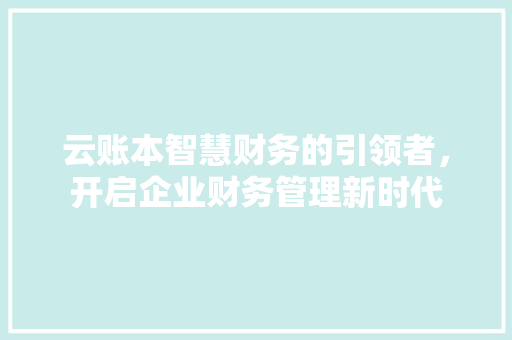 云账本智慧财务的引领者，开启企业财务管理新时代