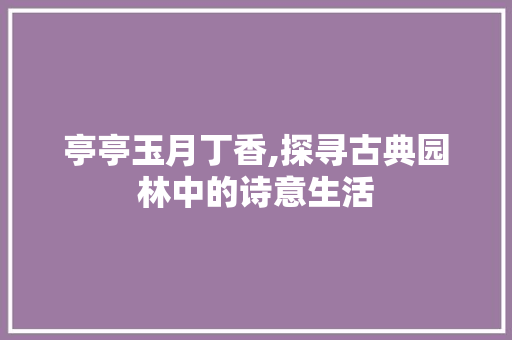 亭亭玉月丁香,探寻古典园林中的诗意生活