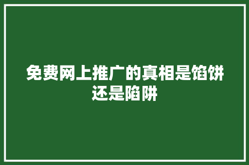 免费网上推广的真相是馅饼还是陷阱