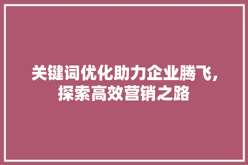 关键词优化助力企业腾飞,探索高效营销之路