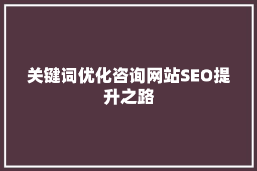 关键词优化咨询网站SEO提升之路