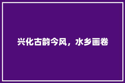 兴化古韵今风，水乡画卷