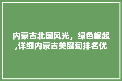 内蒙古北国风光，绿色崛起,详细内蒙古关键词排名优化