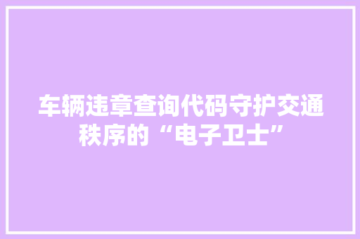 车辆违章查询代码守护交通秩序的“电子卫士”