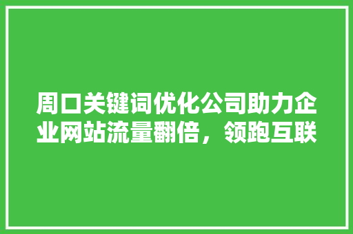 周口关键词优化公司助力企业网站流量翻倍，领跑互联网营销新趋势