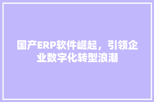 国产ERP软件崛起，引领企业数字化转型浪潮