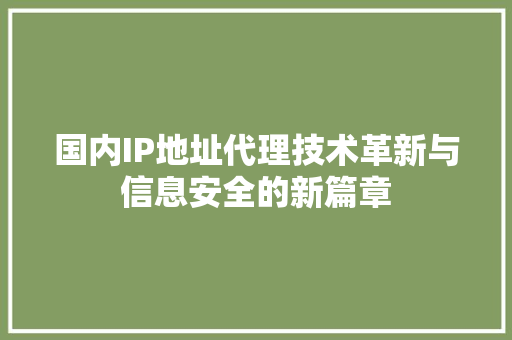 国内IP地址代理技术革新与信息安全的新篇章