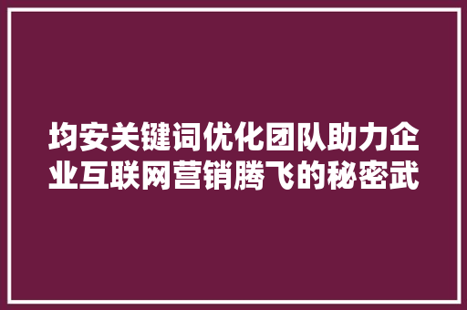 均安关键词优化团队助力企业互联网营销腾飞的秘密武器