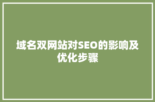 域名双网站对SEO的影响及优化步骤