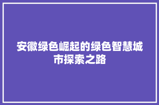 安徽绿色崛起的绿色智慧城市探索之路