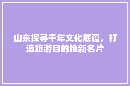 山东探寻千年文化底蕴，打造旅游目的地新名片