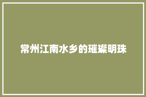 常州江南水乡的璀璨明珠