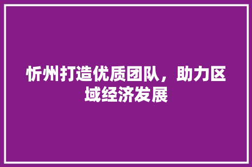 忻州打造优质团队，助力区域经济发展