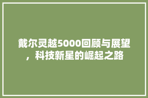 戴尔灵越5000回顾与展望，科技新星的崛起之路