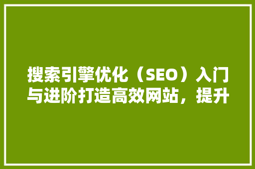 搜索引擎优化（SEO）入门与进阶打造高效网站，提升搜索引擎排名