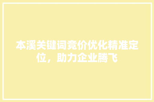 本溪关键词竞价优化精准定位，助力企业腾飞
