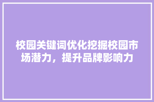 校园关键词优化挖掘校园市场潜力，提升品牌影响力