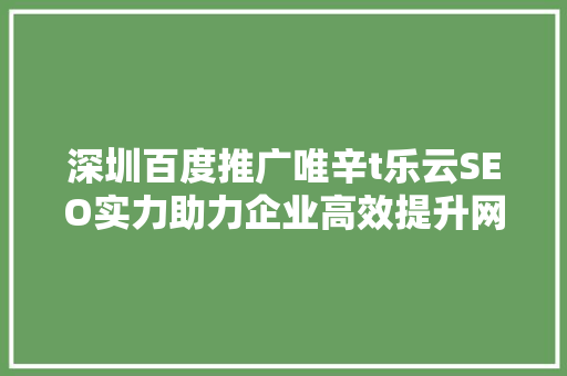深圳百度推广唯辛t乐云SEO实力助力企业高效提升网络竞争力