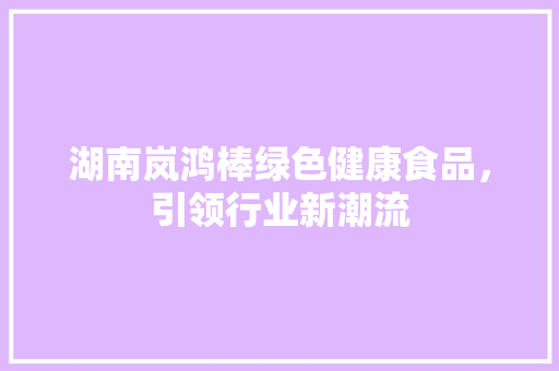 湖南岚鸿棒绿色健康食品，引领行业新潮流