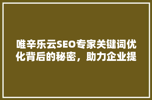 唯辛乐云SEO专家关键词优化背后的秘密，助力企业提升在线竞争力