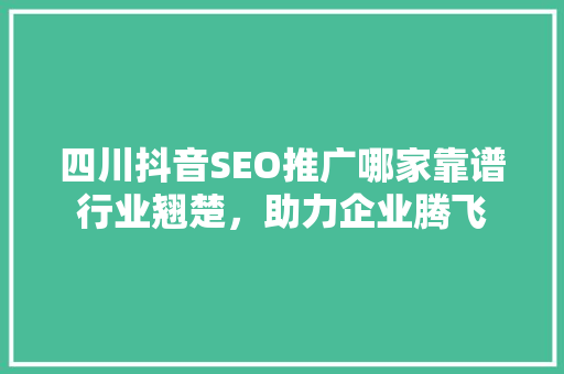四川抖音SEO推广哪家靠谱行业翘楚，助力企业腾飞