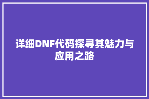 详细DNF代码探寻其魅力与应用之路
