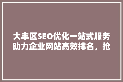 大丰区SEO优化一站式服务助力企业网站高效排名，抢占互联网市场先机