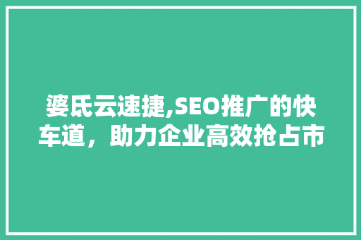 婆氐云速捷,SEO推广的快车道，助力企业高效抢占市场