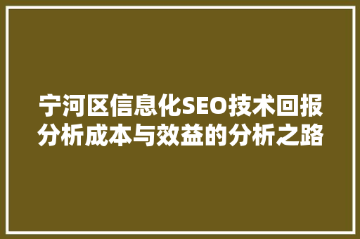 宁河区信息化SEO技术回报分析成本与效益的分析之路