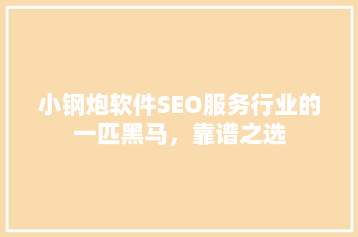 小钢炮软件SEO服务行业的一匹黑马，靠谱之选