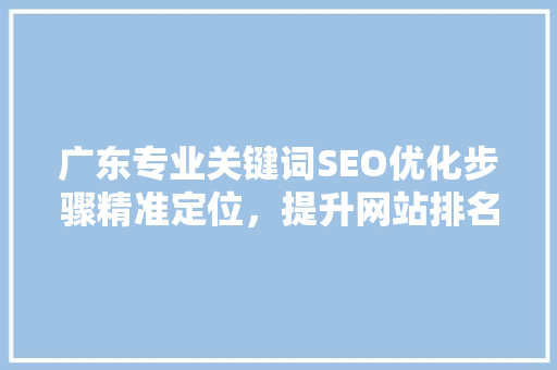 广东专业关键词SEO优化步骤精准定位，提升网站排名