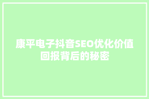 康平电子抖音SEO优化价值回报背后的秘密