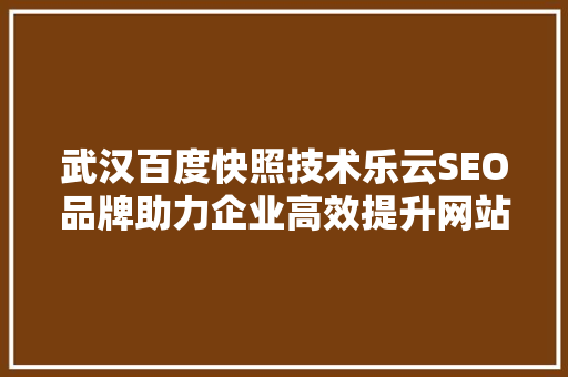 武汉百度快照技术乐云SEO品牌助力企业高效提升网站排名