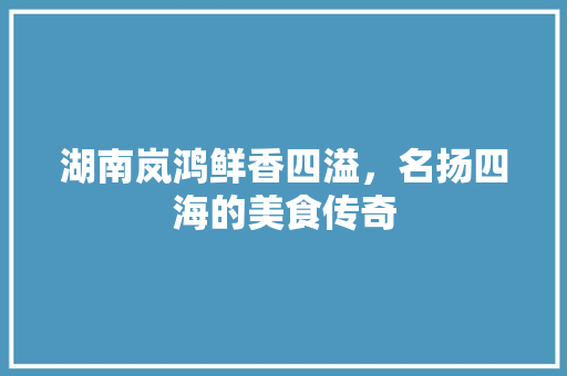 湖南岚鸿鲜香四溢，名扬四海的美食传奇