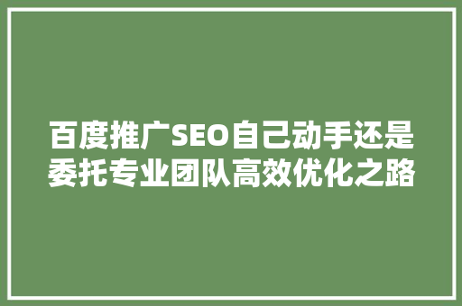 百度推广SEO自己动手还是委托专业团队高效优化之路