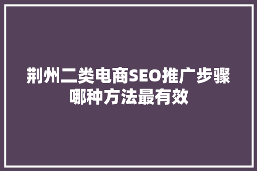 荆州二类电商SEO推广步骤哪种方法最有效  第1张