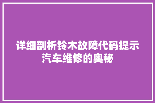 详细剖析铃木故障代码提示汽车维修的奥秘