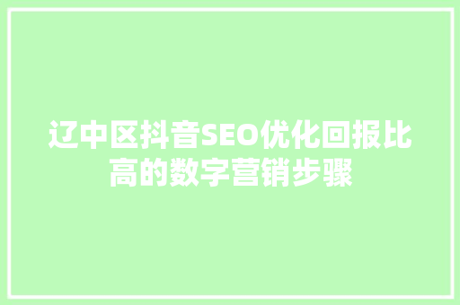 辽中区抖音SEO优化回报比高的数字营销步骤