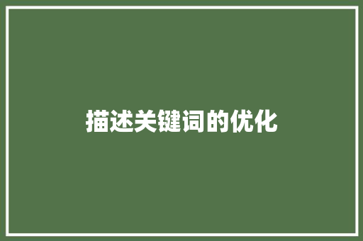 描述关键词的优化