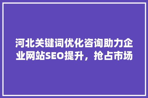 河北关键词优化咨询助力企业网站SEO提升，抢占市场先机_河北关键词优化咨询