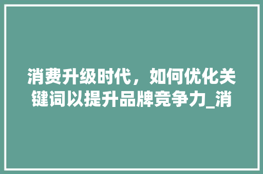 消费升级时代，如何优化关键词以提升品牌竞争力_消费高如何优化关键词