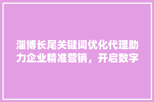 淄博长尾关键词优化代理助力企业精准营销，开启数字营销新时代_淄博长尾关键词优化代理