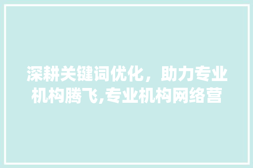 深耕关键词优化，助力专业机构腾飞,专业机构网络营销新步骤_关键词优化专业的机构