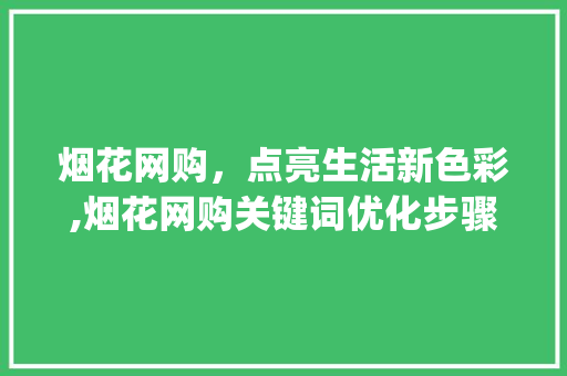 烟花网购，点亮生活新色彩,烟花网购关键词优化步骤_烟花网购关键词优化