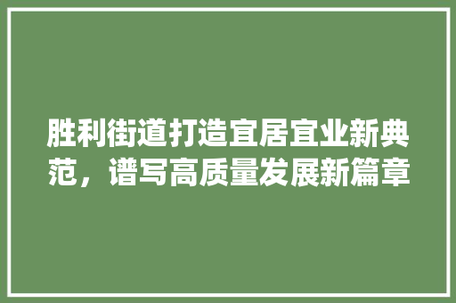 胜利街道打造宜居宜业新典范，谱写高质量发展新篇章_胜利街道关键词优化方法