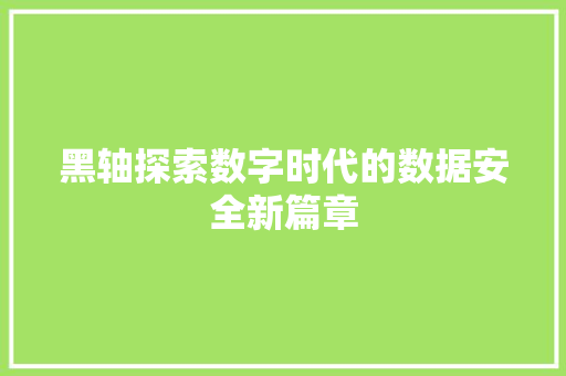 黑轴探索数字时代的数据安全新篇章  第1张