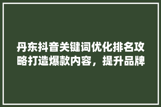 丹东抖音关键词优化排名攻略打造爆款内容，提升品牌影响力_丹东抖音关键词优化排名
