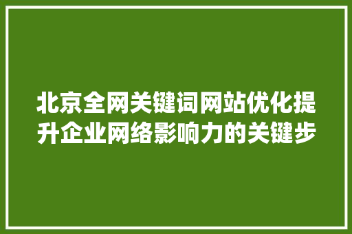 北京全网关键词网站优化提升企业网络影响力的关键步骤_北京全网关键词网站优化